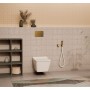 Панель смыва RIVO Touch lux Латунь матовая