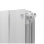 Дизайн-радиатор бимет. Royal Thermo PianoForte Bianco Traffico 500 x 100 - 4 секц.
